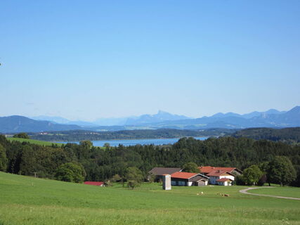 Blick auf den Waginger See