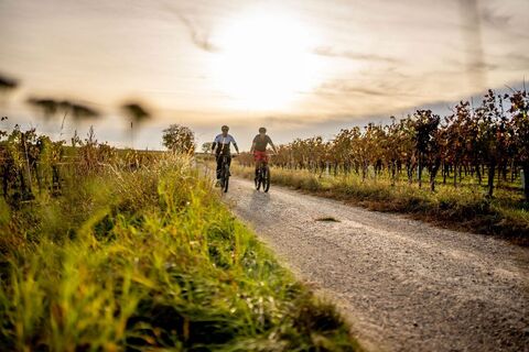 Veltliner-Runde