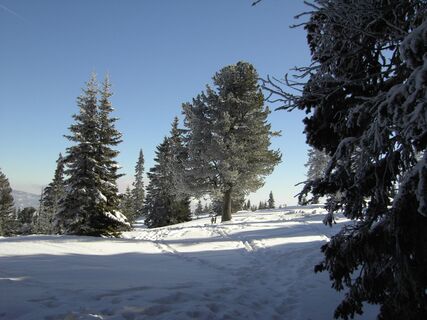 Klippitztörl - Winterlandschaft