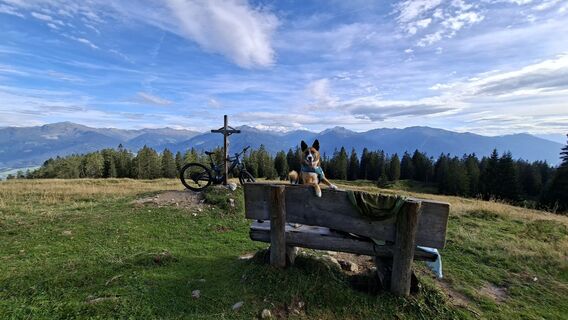 Foto von Martin Kreidl 3 entlang der Tour