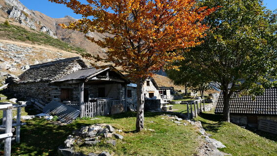 Photo de manu le long du parcours