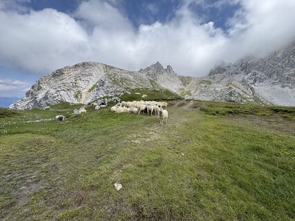 Photo de Bernd Drescher le long du parcours