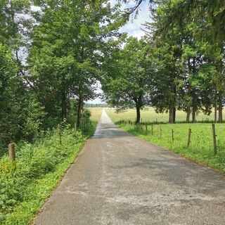 Weg Richtung St. Coloman