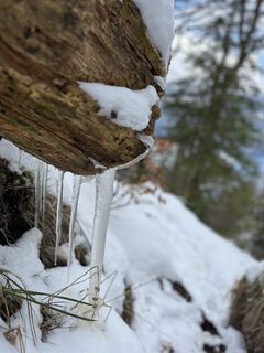 Foto von Nadine A. entlang der Tour