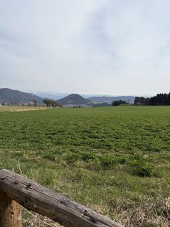 Fotografia z Mandy Friedrich na trase