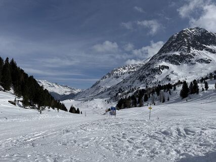 Foto von Grizzli entlang der Tour