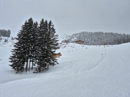 Foto von Meli entlang der Tour