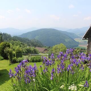 Aussicht in Trenk
