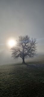 Foto von Astrid entlang der Tour