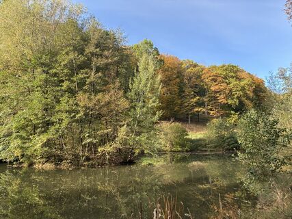 Photo de Martin1967 le long du parcours