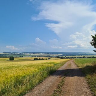 Karta