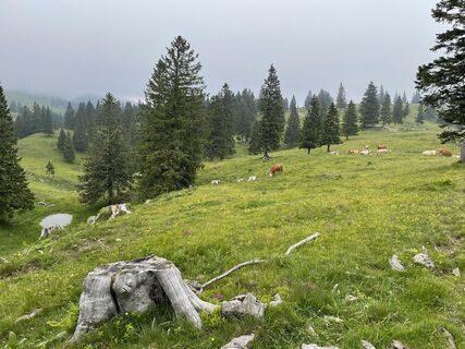 Fotografie z Andrew clarke na trase