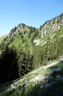 Photo de Skip le long du parcours