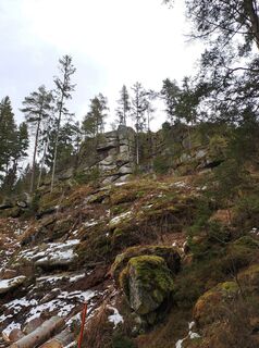 Foto de Joe a lo largo del recorrido