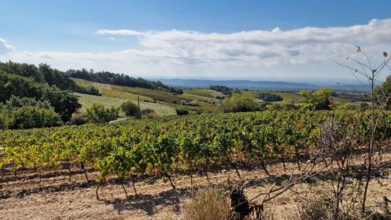 Foto de Fabrizi Mellano a lo largo del recorrido