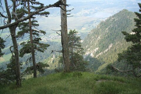 Nähe St. Steben Blick ins Tal