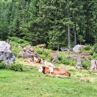 Foto von Helga Herbst entlang der Tour
