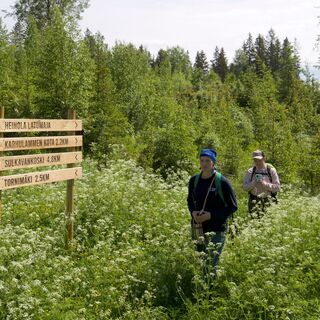 Wanderer auf dem Tornimäki-Weg