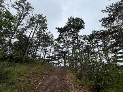 Foto von Robert.Unterlercher entlang der Tour