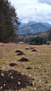 Foto von Aga M entlang der Tour