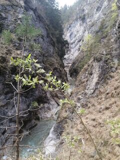 Photo de Brigitte Rottmann le long du parcours