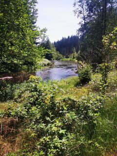 Foto von Waldläufer entlang der Tour