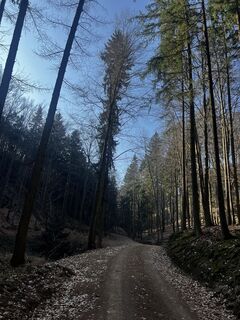 Foto von Sweet I‘m entlang der Tour