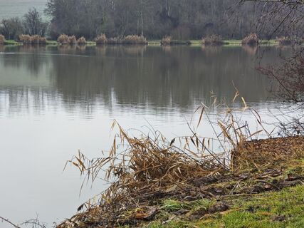 Foto de Sabine a lo largo del recorrido