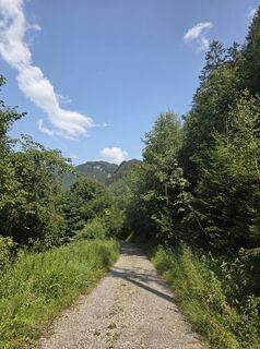 Foto von Transfer entlang der Tour