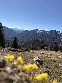 Foto von Natur_erleben_dg entlang der Tour