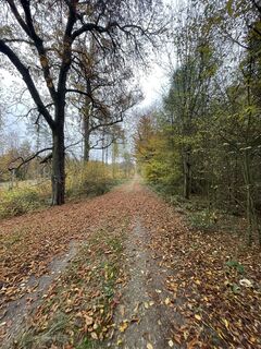 Foto von Gerald entlang der Tour