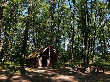 Photo de Roland Domahidi le long du parcours