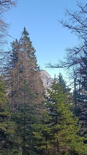 Foto von Bergpirat entlang der Tour