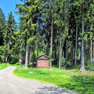 Vom Auerhahn Richtung Langebachtal