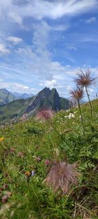 Photo de Ineswanki le long du parcours