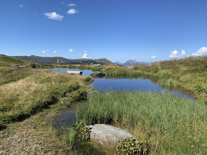 Foto da Koen De Wit lungo il tour