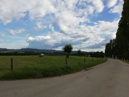 Kurz vor Horn Blick zum Rosenstein