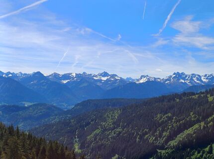 Photo de holgi61 le long du parcours