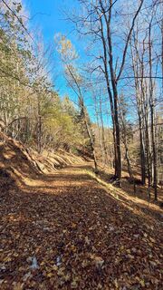 Fotografija s spletne strani Regina Fleischmann na poti