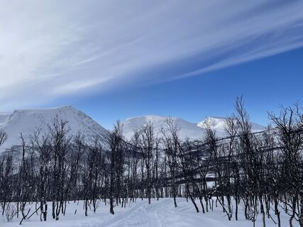 Fotografija s spletne strani Hels Walker na poti