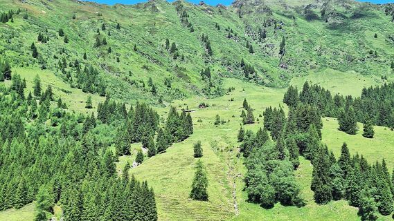 Photo de Monalisa le long du parcours