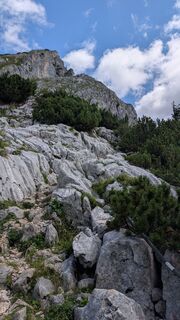 Fotografija s spletne strani Pfefferam na poti
