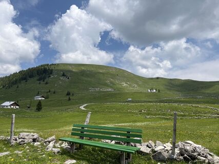 Fotografia z Heinz Sperl na trase