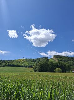 Foto von Mangolein entlang der Tour