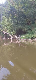 Photo de Riverjunkie le long du parcours