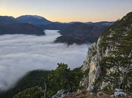 Fotografija s spletne strani TwilightTea na poti