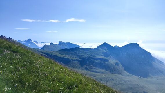 Zdjęcie z Ivana Kostic wzdłuż trasy