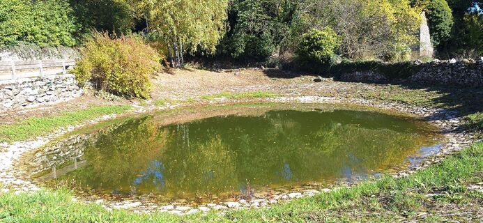 georando sorbs 1 -@ Sylvie Villedieu - CD34