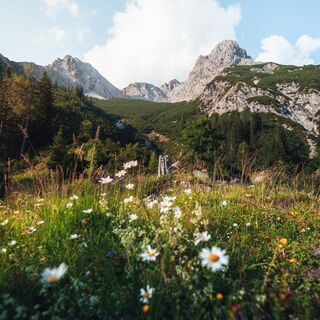 Aussicht bei der Haidensperre