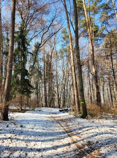 Fotografija s spletne strani Juliane Jarke na poti